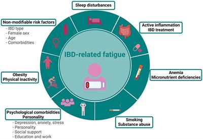 Unraveling the fatigue puzzle: insights into the pathogenesis and management of IBD-related fatigue including the role of the gut-brain axis